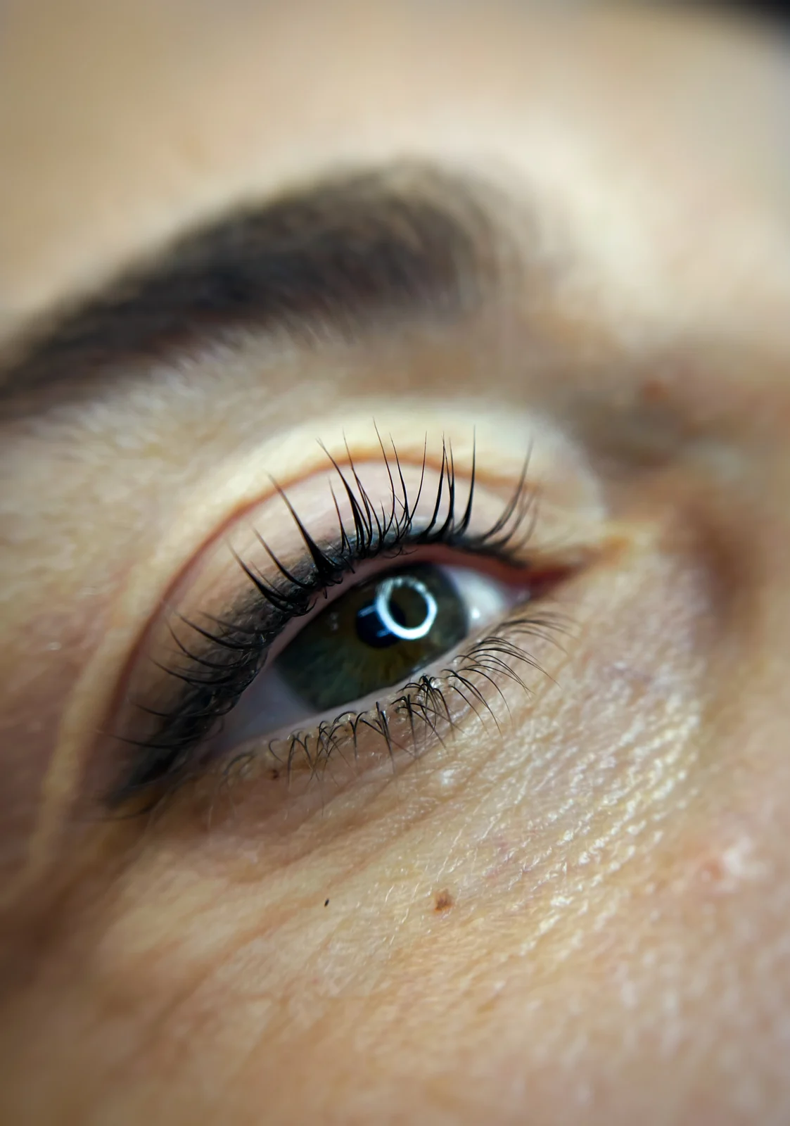 Brows & lashes